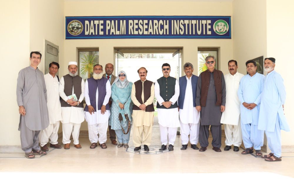 74/25 Greening the Desert - Forging Climate-Smart Solutions Through Supporting Date Palm Cultivation 74/25 Greening the Desert - Forging Climate-Smart Solutions Through Supporting Date Palm Cultivation